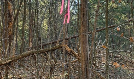 Photo #10 of Kepley, Salisbury, NC