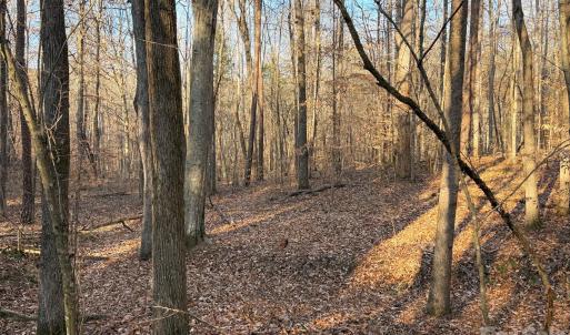 Photo #8 of Kepley, Salisbury, NC