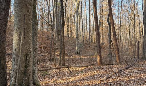 Photo #9 of Kepley, Salisbury, NC