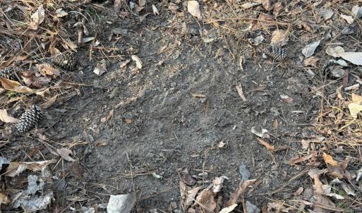 Photo #7 of Kepley, Salisbury, NC