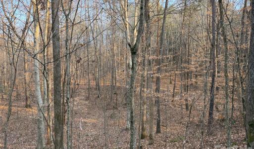 Photo #12 of Kepley, Salisbury, NC