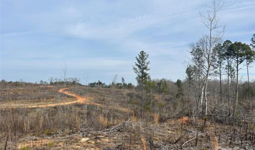 Photo #20 of 1111 Countryside, Blackstock, SC