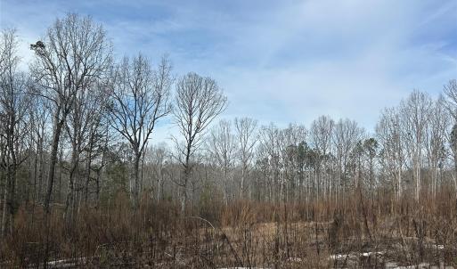 Photo #39 of 1111 Countryside, Blackstock, SC