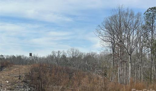 Photo #43 of 1111 Countryside, Blackstock, SC