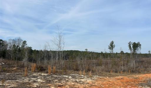 Photo #19 of 1111 Countryside, Blackstock, SC