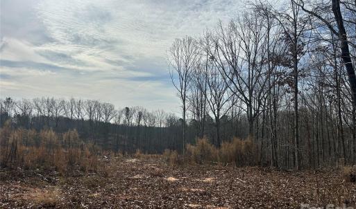 Photo #29 of 1111 Countryside, Blackstock, SC