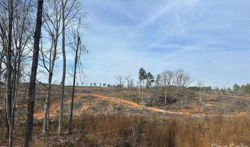 Photo #25 of 1111 Countryside, Blackstock, SC