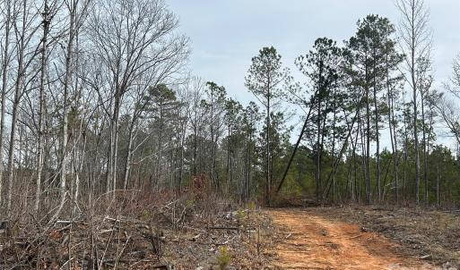 Photo #41 of 1111 Countryside, Blackstock, SC