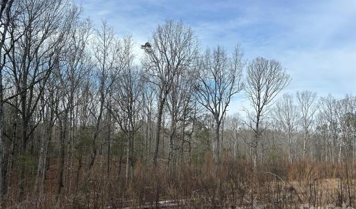 Photo #38 of 1111 Countryside, Blackstock, SC