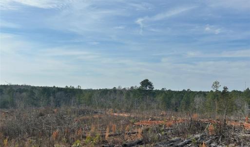 Photo #11 of 1111 Countryside, Blackstock, SC