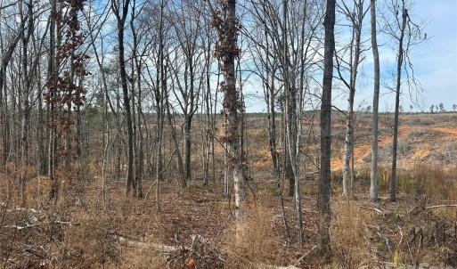 Photo #27 of 1111 Countryside, Blackstock, SC