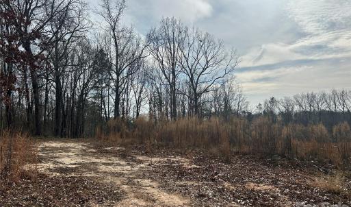 Photo #28 of 1111 Countryside, Blackstock, SC