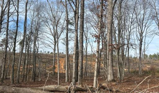 Photo #47 of 1111 Countryside, Blackstock, SC