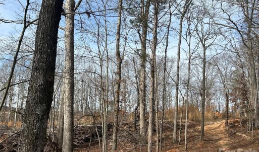 Photo #46 of 1111 Countryside, Blackstock, SC