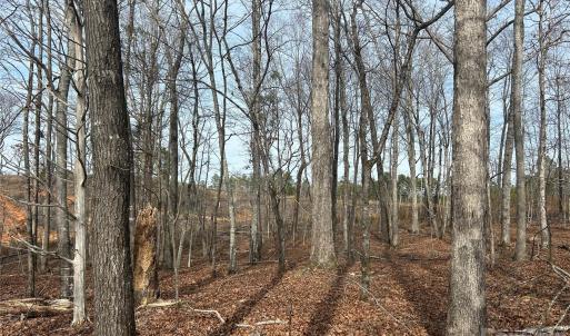 Photo #11 of 33 Ac Lot A Countryside, Blackstock, SC