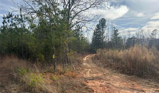 Photo #2 of 33 Ac Lot A Countryside, Blackstock, SC