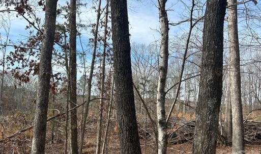 Photo #25 of 33 Ac Lot A Countryside, Blackstock, SC