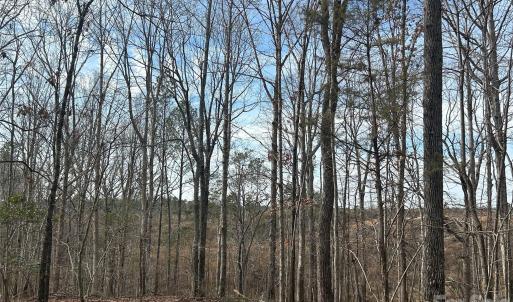 Photo #1 of 33 Ac Lot A Countryside, Blackstock, SC