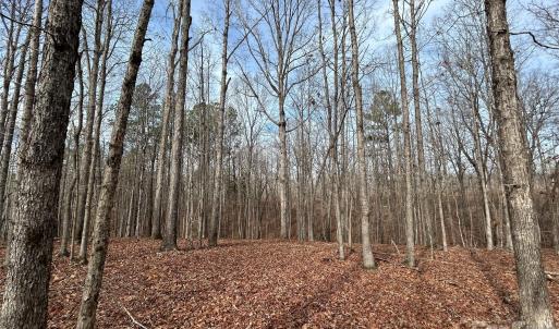 Photo #15 of 33 Ac Lot A Countryside, Blackstock, SC