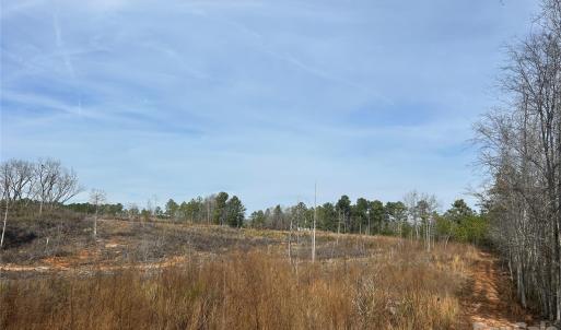 Photo #7 of 33 Ac Lot A Countryside, Blackstock, SC