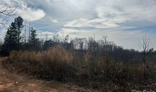 Photo #4 of 33 Ac Lot A Countryside, Blackstock, SC