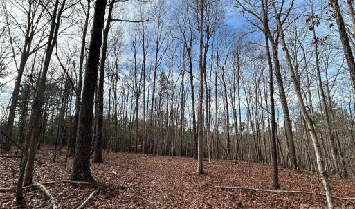 Photo #14 of 33 Ac Lot A Countryside, Blackstock, SC
