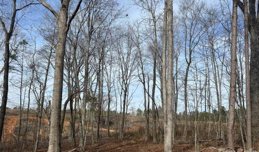 Photo #28 of 33 Ac Lot A Countryside, Blackstock, SC