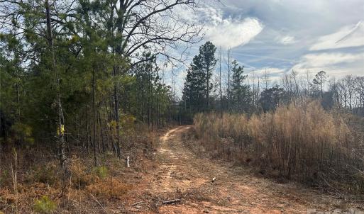 Photo #3 of 33 Ac Lot A Countryside, Blackstock, SC
