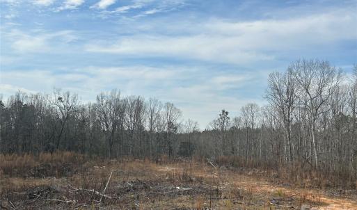 Photo #13 of 33 Ac Lot A Countryside, Blackstock, SC