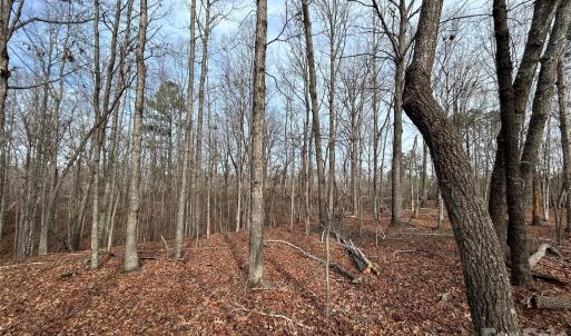 Photo #16 of 33 Ac Lot A Countryside, Blackstock, SC