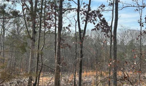 Photo #24 of 33 Ac Lot A Countryside, Blackstock, SC