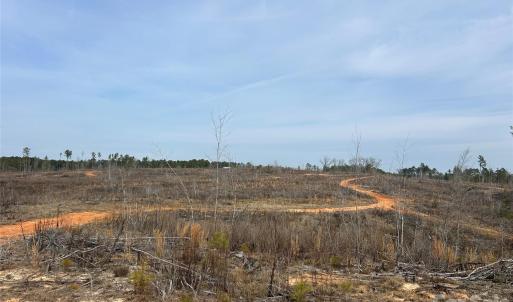Photo #24 of 33 Ac Lot B Countryside, Blackstock, SC