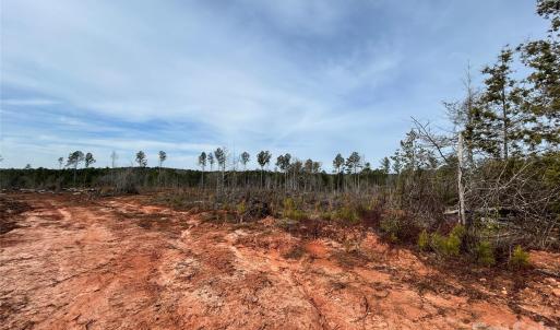 Photo #6 of 33 Ac Lot B Countryside, Blackstock, SC