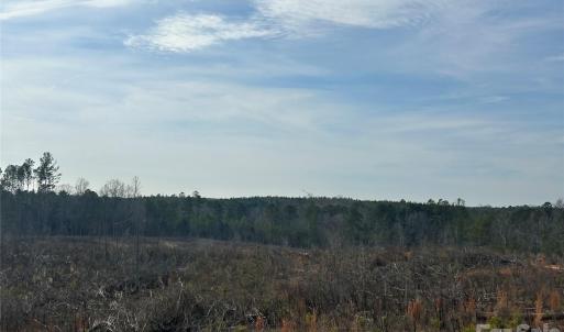 Photo #12 of 33 Ac Lot B Countryside, Blackstock, SC
