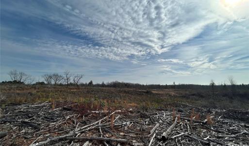 Photo #10 of 33 Ac Lot B Countryside, Blackstock, SC