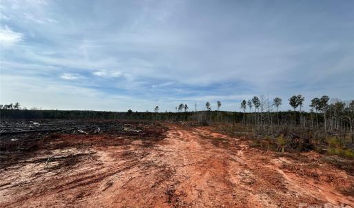 Photo #7 of 33 Ac Lot C Countryside, Blackstock, SC