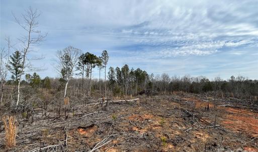 Photo #16 of 33 Ac Lot C Countryside, Blackstock, SC
