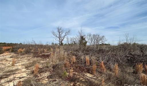 Photo #14 of 33 Ac Lot C Countryside, Blackstock, SC