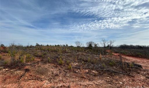 Photo #3 of 33 Ac Lot C Countryside, Blackstock, SC