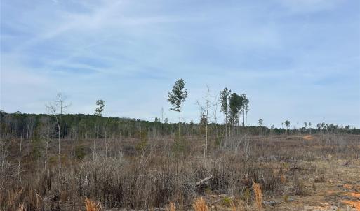 Photo #22 of 33 Ac Lot C Countryside, Blackstock, SC