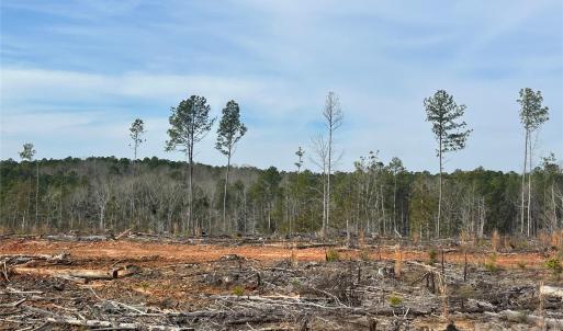 Photo #13 of 33 Ac Lot C Countryside, Blackstock, SC