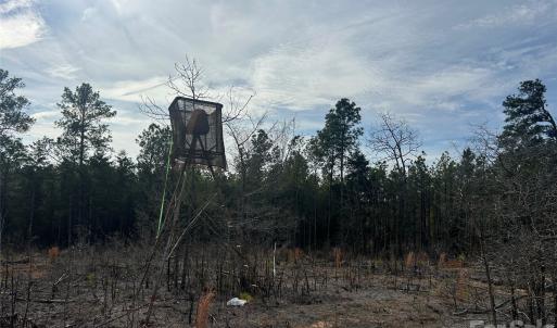 Photo #17 of 33 Ac Lot C Countryside, Blackstock, SC