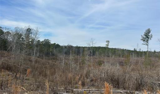Photo #21 of 33 Ac Lot C Countryside, Blackstock, SC