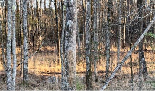 Photo #5 of 8066 Gulf Creek, Lancaster, SC