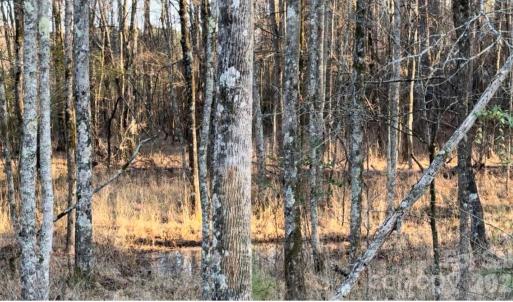Photo #8 of 8066 Gulf Creek, Lancaster, SC