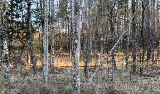 Photo #4 of 8066 Gulf Creek, Lancaster, SC