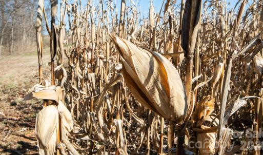 Photo #5 of TBD Upright, Mt Ulla, NC