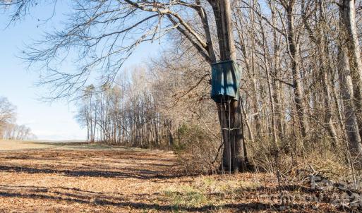 Photo #30 of TBD Upright, Mt Ulla, NC