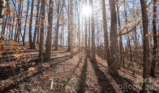 Photo #33 of TBD Upright, Mt Ulla, NC
