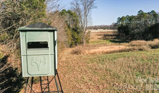Photo #18 of TBD Upright, Mt Ulla, NC